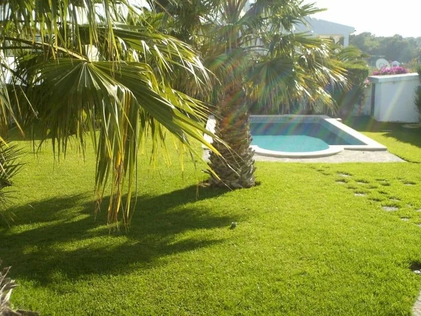Detached house for rent in Areia - Birre