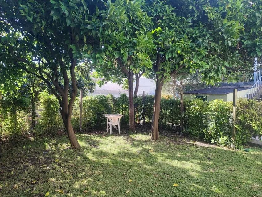 T3 flat for rent in rua São João Nepomuceno, 30