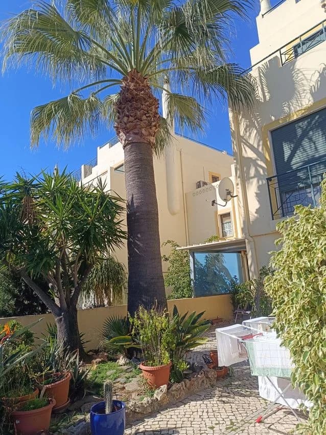 Detached house for rent in Rua Engenheiro Rui Cruz