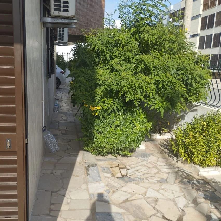 T2 flat for rent in Rua de Kinitra, 10
