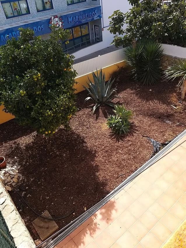Detached house for rent in Rua do Lageado, 14