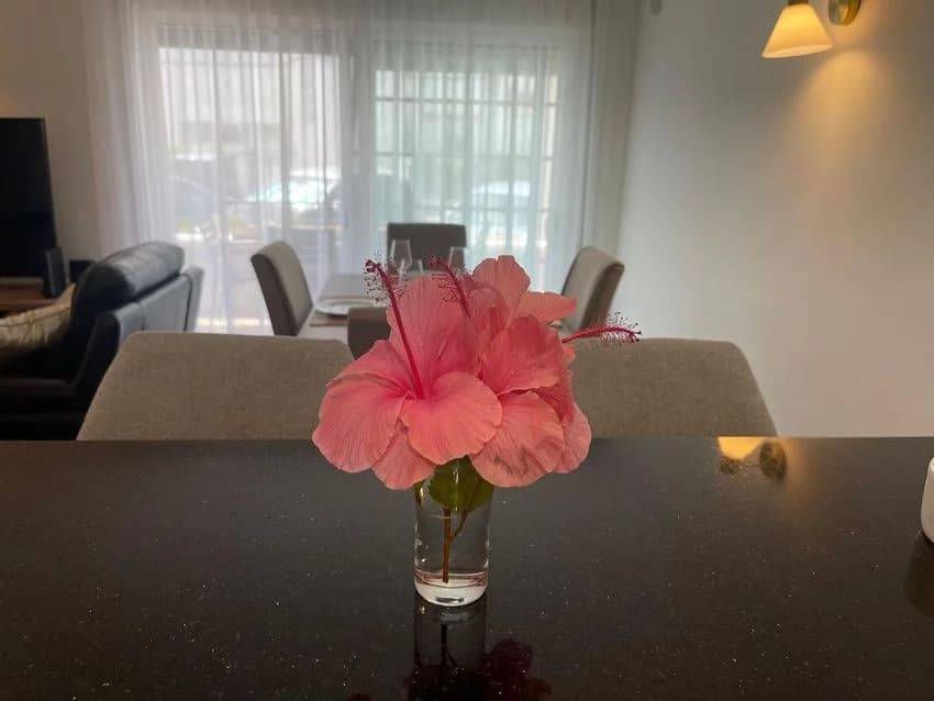 T2 flat for rent in Travessa Vereador J. Filipe Jona, 8
