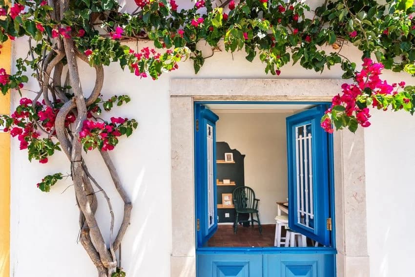 Village house for rent in Rua das Portas do Postigo, 13