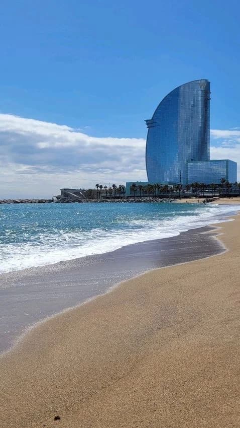 Flat / apartment for rent in Barceloneta Playa