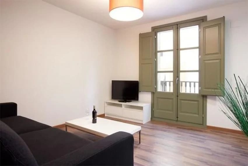 Flat / apartment for rent in El Gòtic
