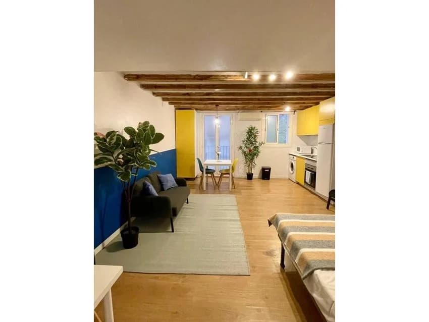 Studio flat for rent in Calle de Ferran