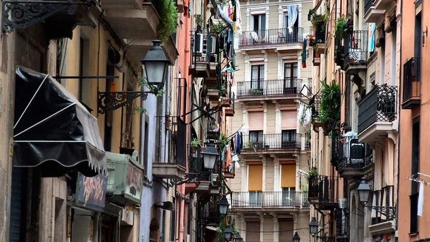 Flat / apartment for rent in raval Nn