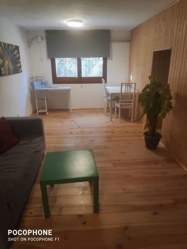 Studio flat for rent in Passatge Pintor Pau Roig, 29