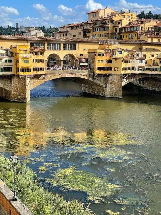 Flat / apartment for rent in Ponte Vecchio Nn
